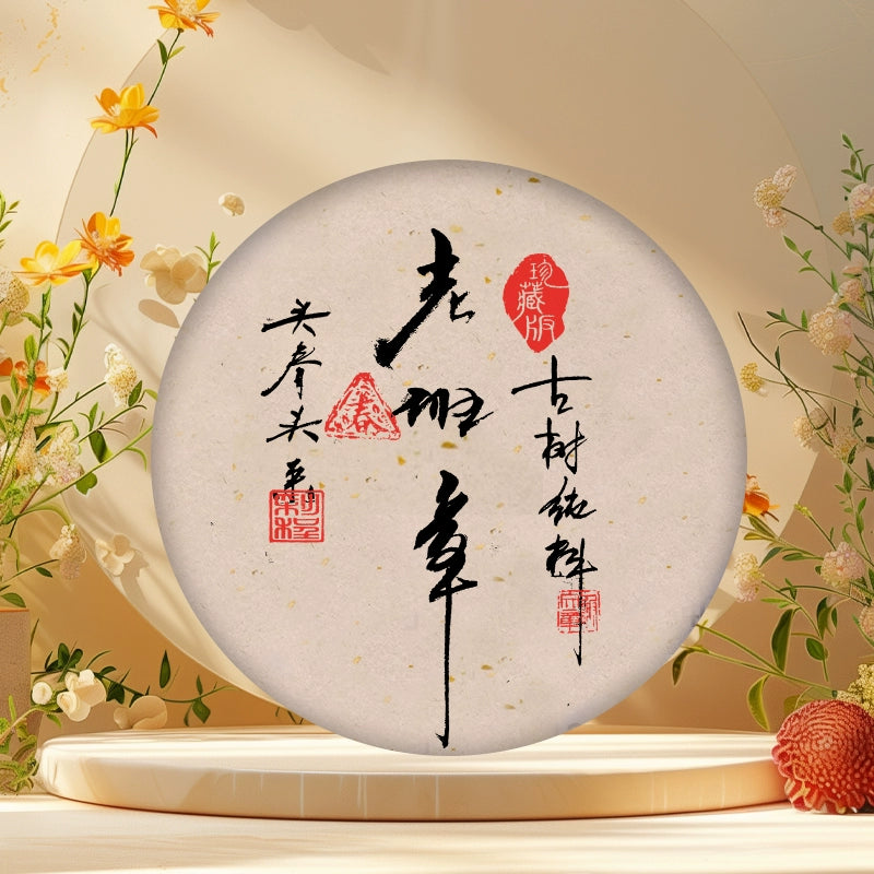 2025 Lao Ban Zhangtou Chuntou picks 500 grams of raw tea from ancient trees
